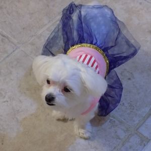 Meet your Posher, Marcia